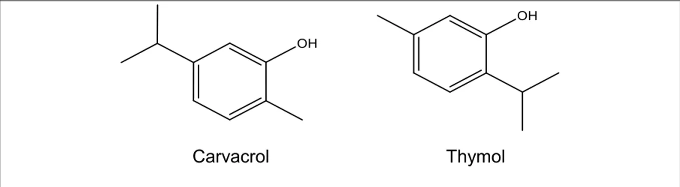 Figure 1. Structure chimique de deux composés antibactériens retrouvés dans  certaines huiles essentielles dont Thymus vulgaris