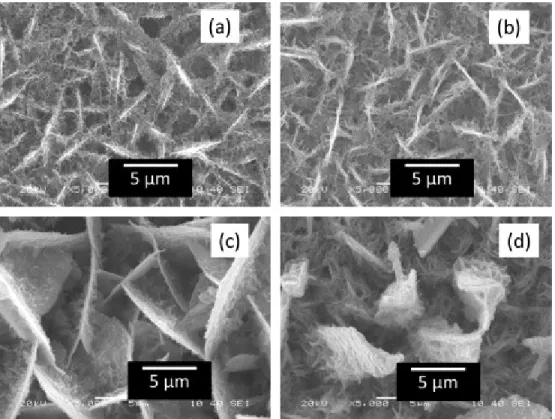 Fig. 1 shows the SEM images of electrodeposited zinc coated steel substrates at a  potential of −1400 mV