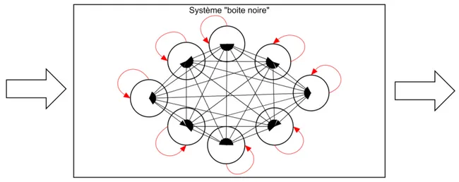 Figure 7 : Acteurs-réseau à l’intérieur de la boite noire 