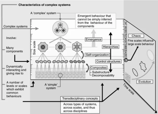 Figure 11 : Caractéristiques d’un système complexe 192  - repris de (Clemens, 2013) 