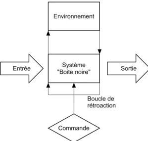 Figure 12 : Schématisation typique simplifiée d'un système allopoïétique 