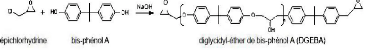 Figure 1.6 La synthèse de DGEBA pour une condition basique. (Bruneaux, 2004) 