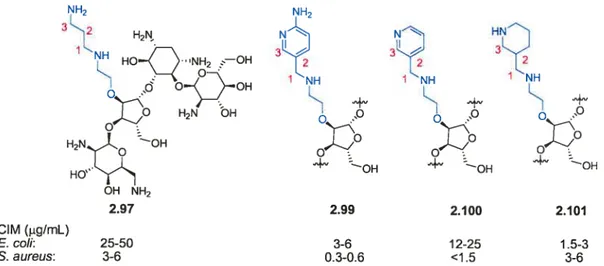 Figure 2.9. Variation du motif 1 ,3-diaminopropane dans la chaîne latérale à la position 02” de la paromomycine.