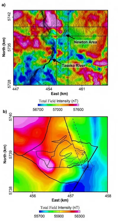 Figure 2.5  Magnetic  data-sets.  (a)  Total  magnetic  field  intensities  on a  regional  scale