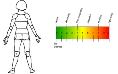 Figure 4: Schéma corporel utilisé pour évaluer l’inconfort (adapté de Corlett et coll., 1976) 