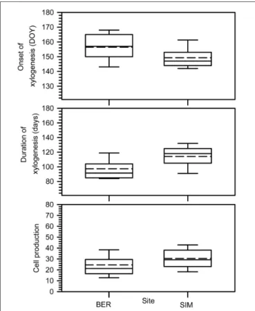 FIGURE 2 | Onset, duration of xylogenesis and cell production. Boxes represent upper and lower quartiles, whiskers achieve the 10th and 90th percentiles and the median and mean are drawn as horizontal solid and dashed lines.