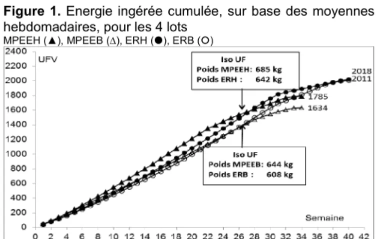 Figure 1. Energie ingérée cumulée, sur base des moyennes  hebdomadaires, pour les 4 lots  