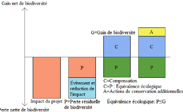 Figure 2.1 Schéma conceptuel de la compensation des pertes de biodiversité au sein de  la séquence éviter/réduire/compenser et de l’équivalence écologique (Adapté de  Quétier et Lavorel, 2011 et Aiama et al., 2015) 