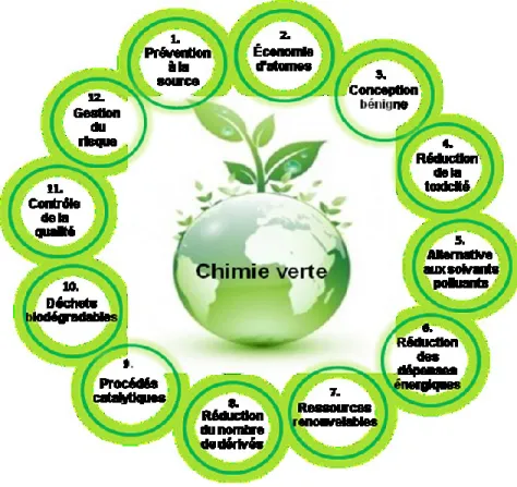 Figure 1.2 - Les 12 principes de la chimie verte. 