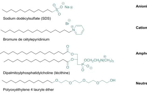 Figure 1.5 - Classification et exemples de surfactants. 