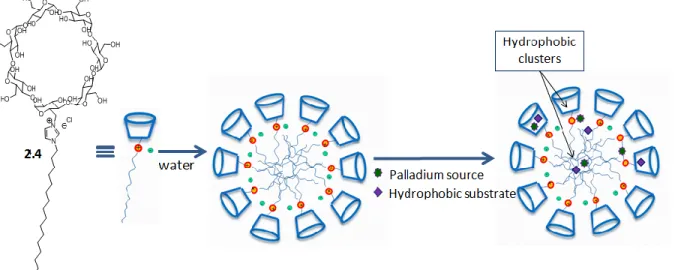 Figure 2.1 - Schematic representation of the self-assembly of 2.4 in water. 