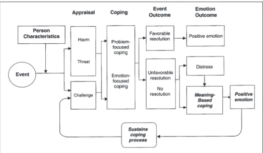 Figure 1:  Transactional model of appraisal and coping process