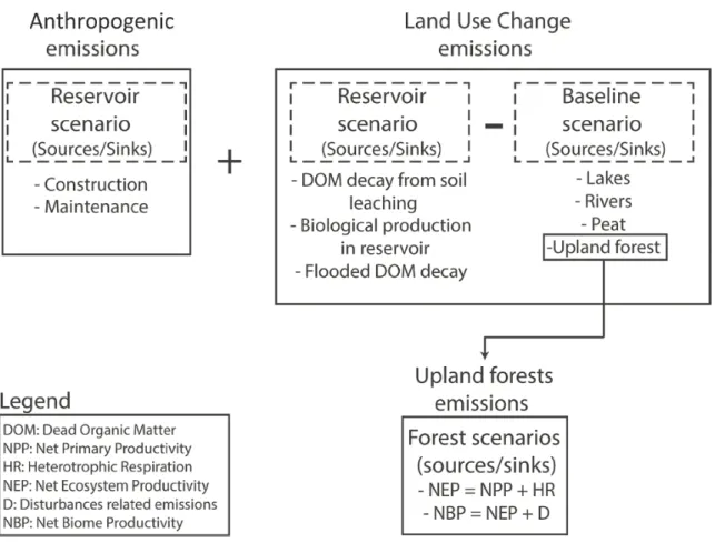 Fig. 1. Schematic representation of the C footprint assessment in this study, showing where the upland forest 507 