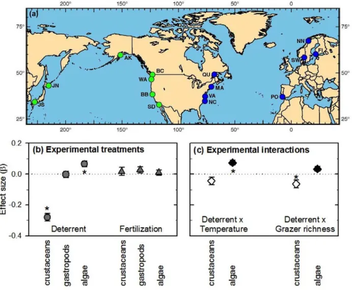 Figure 1. Effects of experimental fertilization, grazer reduction, and their interactions with  environment and biodiversity across the range of eelgrass