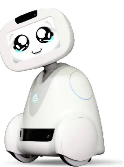 Figure 2. Buddy Figure 3. Jibo