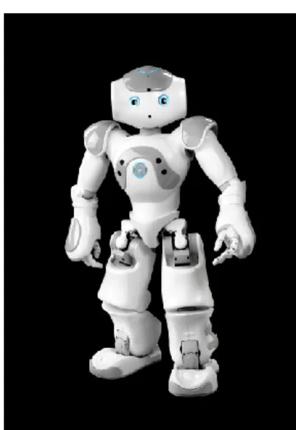 Figure 4. Nao 