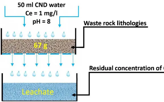 Figure 3-3 : Schematics ofthe sorption cells used in this present study. 