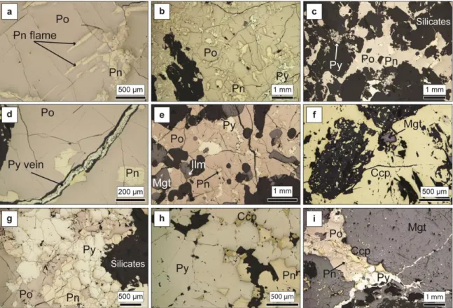 Figure 2.4 Photomicrographs in reflected light of the different assemblages and textures  observed in the sulfide-rich pods
