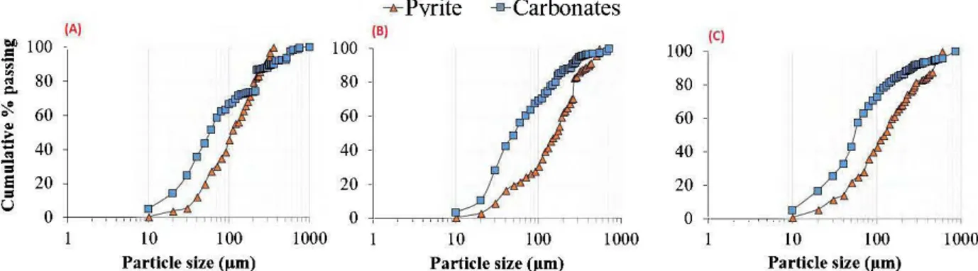 Figure 3.6:  Pyrite and carbonate particle-size distributions within the three lithologies (A: 