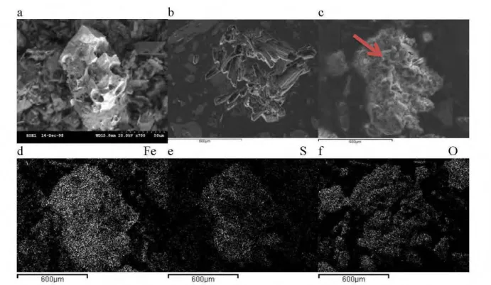 Figure  2.16  Image  MEB-EDS  a)  d'un  grain  de  pyrite  de  résidus  Manitou  d' une  cellule  expérimentale  témoin  (Aubertin  et  al.,  1999b)  et  de  minéraux  secondaires  observés dans  des résidus Manitou fins  : b) bâtonnets de  gypse, c)  grai