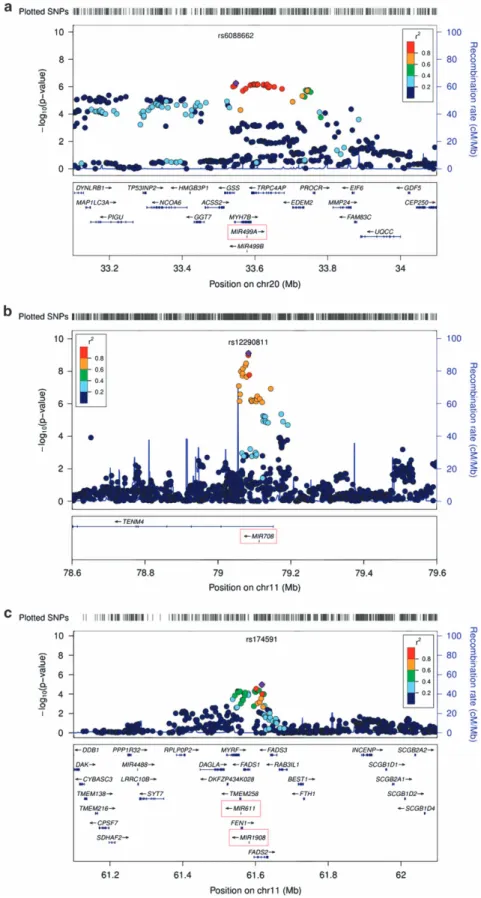 Figure 2. Regional association plots of miR-499, miR-708 and miR-1908. Regional association results for the three most promising associated microRNAs miR-499 ( a ), miR-708 ( b ) and miR-1908 ( c ), and their ± 500-kb ﬂ anking regions were plotted using Lo