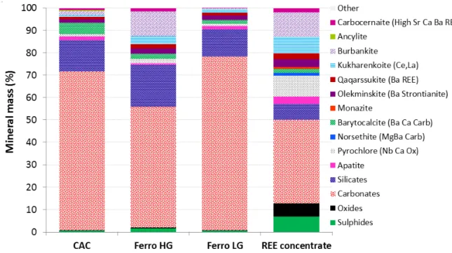 Figure 5. QEMSCAN assessment of Montviel lithologies and REE concentrate. 
