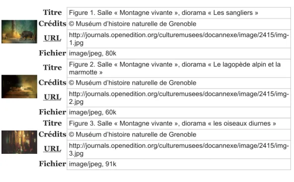 Table des illustrations