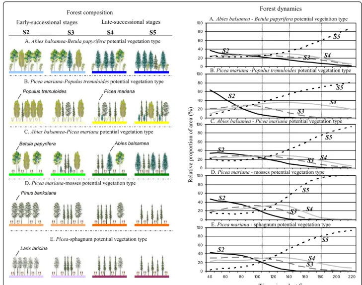 Fig. 3 Forest composition and forest dynamics defined by five potential vegetation types and four successional stages (S2, S3, S4, S5)