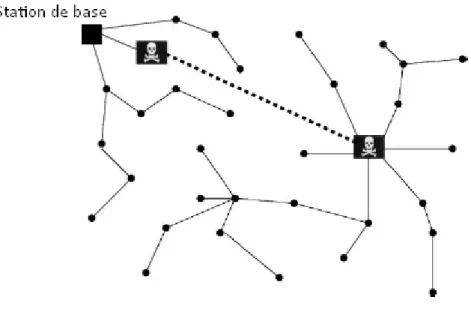 Figure 1.5. L’attaque Wormhole.