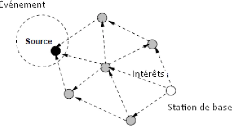 Figure 1.8. Propagation des intérêts [3]. 