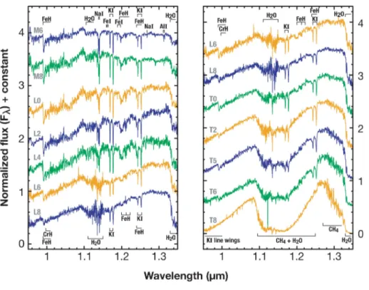 Figure 1.4: Spectres de naines brunes de types spectraux M6 à T8 en bande J avec identification des principaux absorbeurs