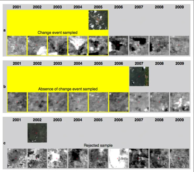 Figure 11: Three examples of sampled high-resolution imagery and their matching series  of MODIS imagery