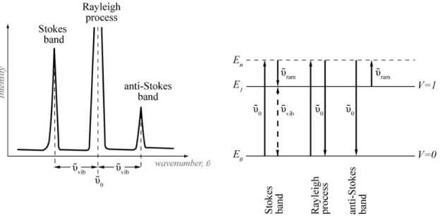 Figure 1.10 Explication du phénomène de diffusion Raman comprenant les raies Stokes et  anti-Stokes comparativement au phénomène de Rayleigh, et transitions d’énergies  vibrationnels correspondantes