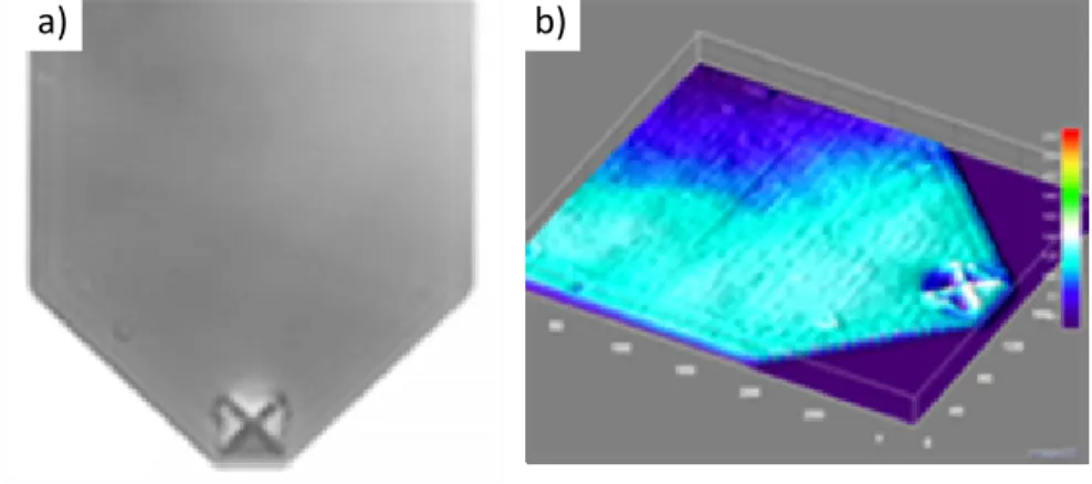Figure 2.8 a) Image SEM d’un levier d’AFM et b) Intensité du champ réparti sur le levier