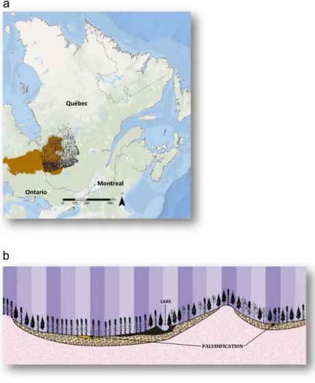 Fig. 2. Distribution of organic layer thickness (OLT) values in the dataset (N ¼ 13944).