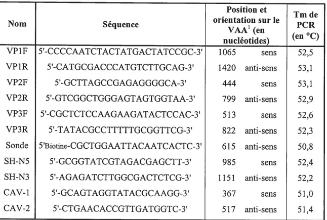 Tableau I: La séquence, l’orientation et la position d’appariement sur le génome du VAA ainsi que la température d’amorçage (Tm) selon le programme pDraw32 pour les différentes amorces créées (VP1, VP2, VP3 et la sonde biotinylée) ou celles déjà publiées p