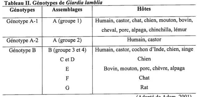 Tableau II. Génotypes de Giardia tamblia