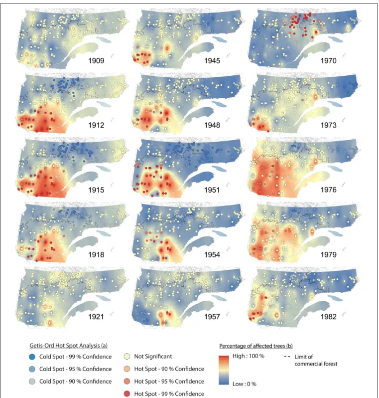 FIGURE 4 | Spatiotemporal patterns of spruce budworm impacts (percentage of affected trees) and synchrony (Getis-Ord hotspot analysis) in eastern Canadian boreal forests for the three most important outbreaks over the 20th century.