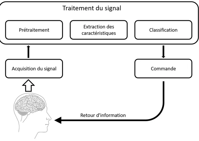 Figure 3.1. Système interface cerveau-machine schématisé.