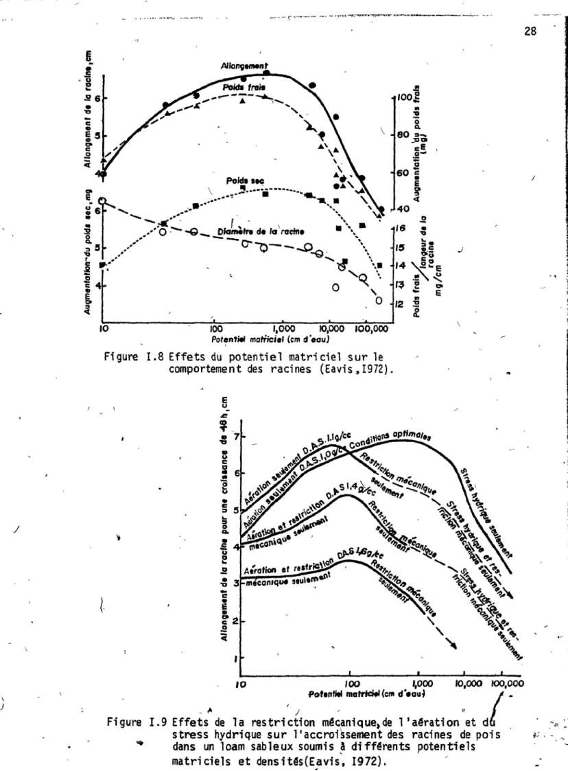 Figure  1.8  Effets  du  potentiel  matriciel  sur  le  comportement  des  racines  (Eavis,  I972)