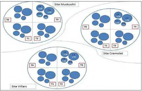 Figure 3.3 Représentation schématique du dispositif d'échantillonnage non destructif 