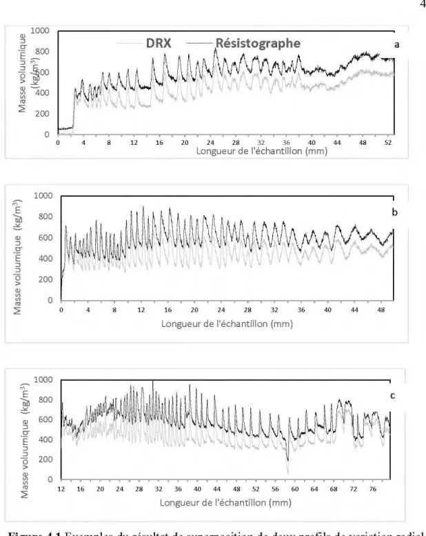 Figure 4.1  Exemples du résultat de superposition de  deux profils de variation radiale  de la masse volumique (résistographe et DRX) en fonction de  la longueur de 