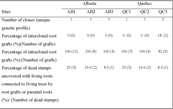 Table 2.4. Clones identification, natural root grafting between trees and between trees and  living roots from dead stumps in the six sites ofbalsam poplar in Alberta and Quebec