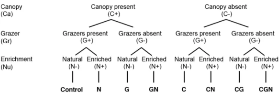 Fig. 1. Experimental design with the 3 stress factors (canopy, grazer and  nutrient enrichment) having 2 levels each (see ‘Materials and methods’ for details)