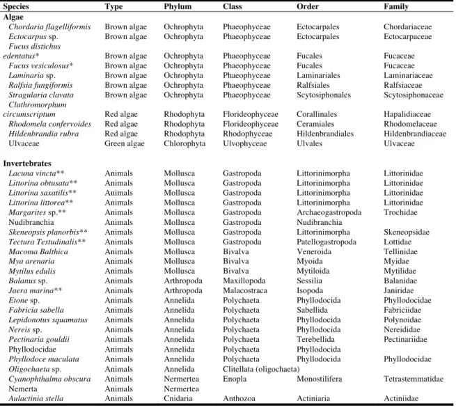 Table S1. Taxa list (with classification) found during the sampling period at Sainte-Flavie, Quebec,  Canada