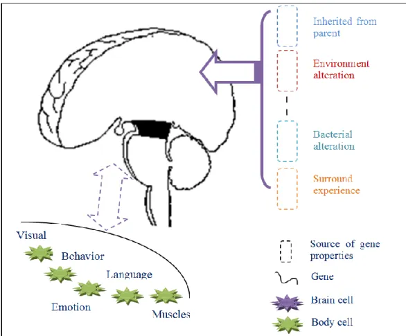 Figure  ‎ 3.2 The brain in the SmartCells architecture 