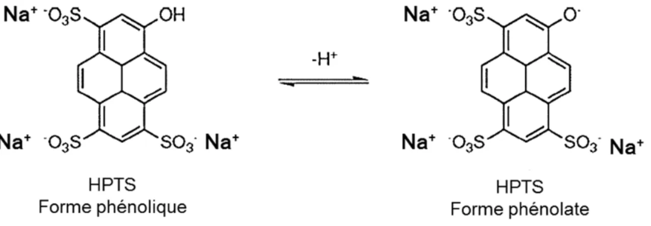 Figure 1.5. Forme protonée et déprotonée du HPTS.  