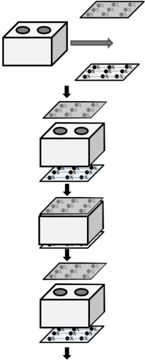 Figure 2a shows the electrical resistivities measured  between top  and bottom plates, and Figure 2b between side plates
