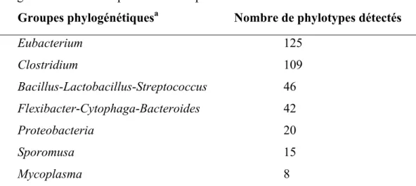 Tableau I.  Lignées phylogénétiques majeures dans lesquelles les phylotypes du  tractus gastro-intestinal du porcelet sont représentés  