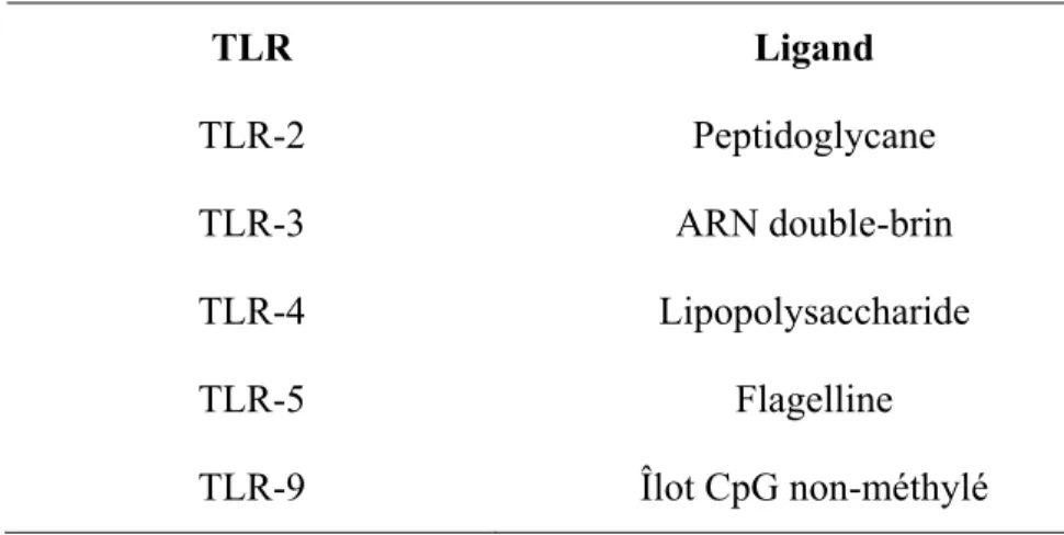Tableau II. La reconnaissance immunitaire par les principaux TLRs présents dans  l’intestin   TLR Ligand  TLR-2 Peptidoglycane  TLR-3 ARN  double-brin  TLR-4 Lipopolysaccharide  TLR-5 Flagelline  TLR-9  Îlot CpG non-méthylé 